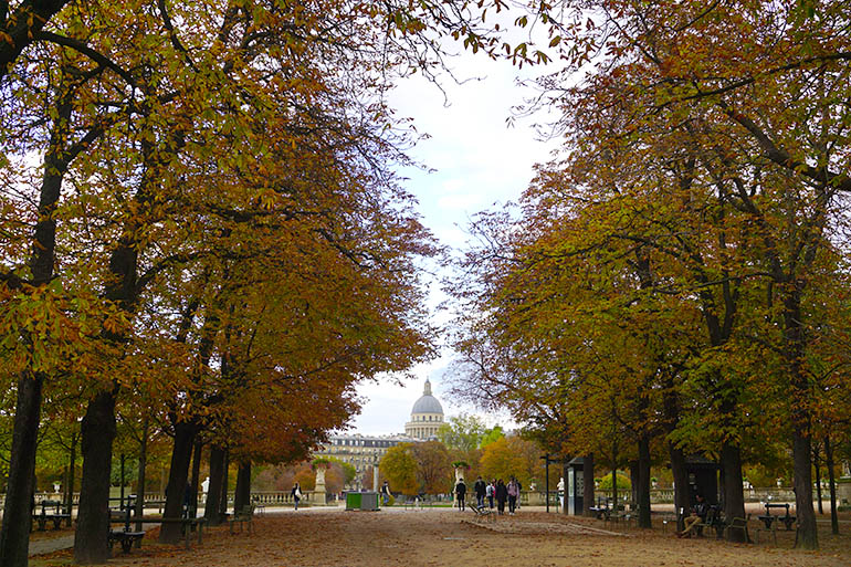 Jardines de Luxemburgo París