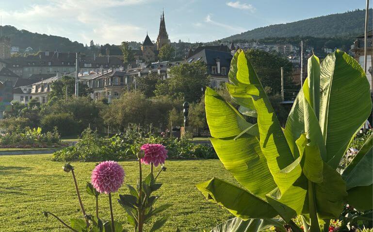 suiza en primavera que ver