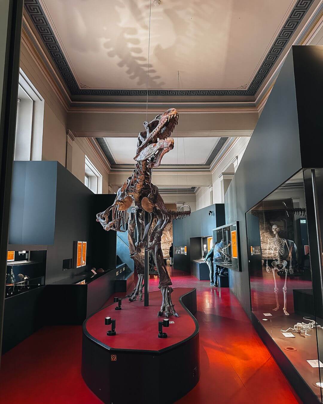 mejores museos en basilea