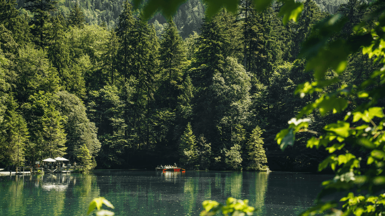 como visitar lago blausee suiza