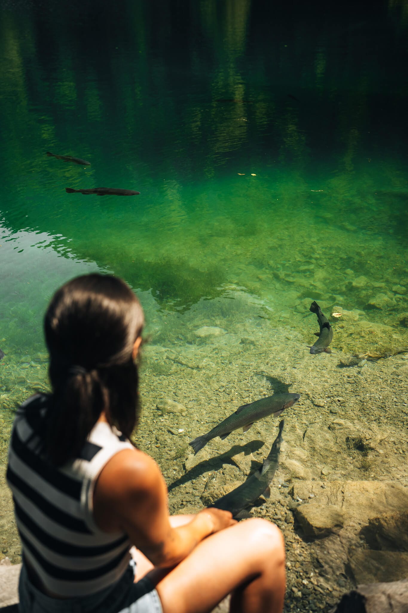lago transparante suiza blausee